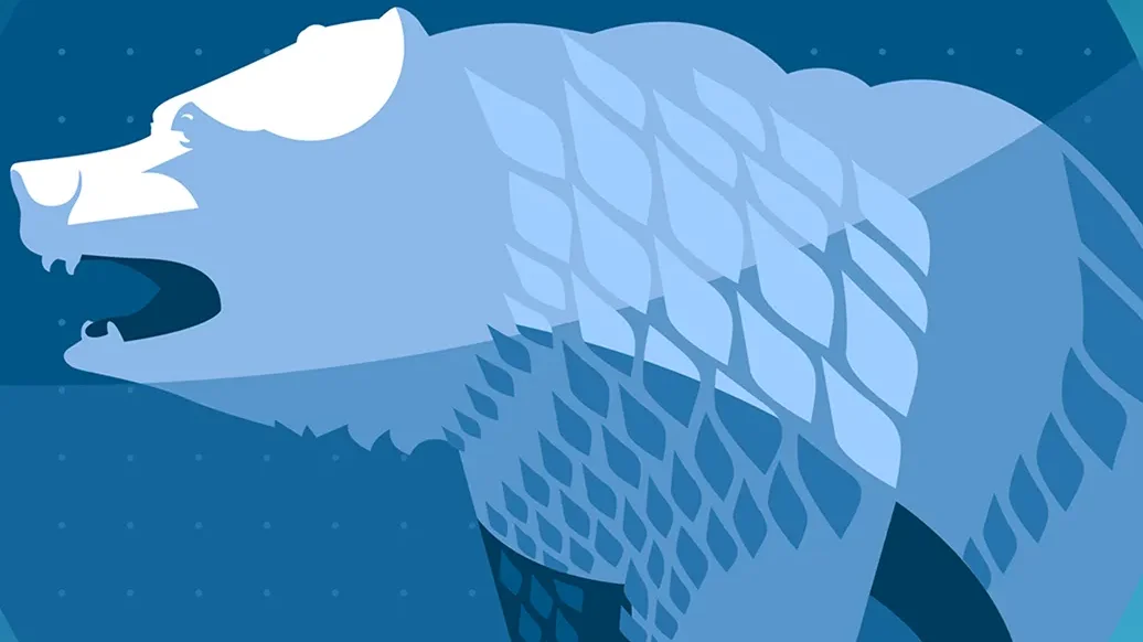 Placeholder image of a bear