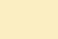 sunmark yellow color