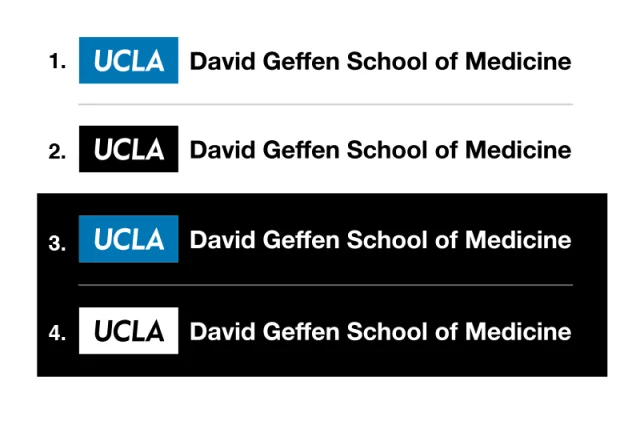 DGSOM Logo examples